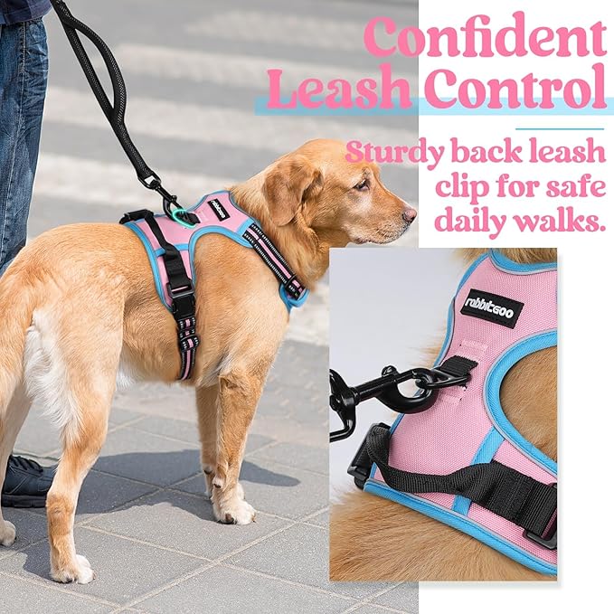 rabbitgoo Dog Harness No Pull with 2 Leash Clips, Adjustable Soft Padded, Reflective Oxford No Choke Pet Vest with Easy Control Handle for Large Dogs, Pink & Blue, L