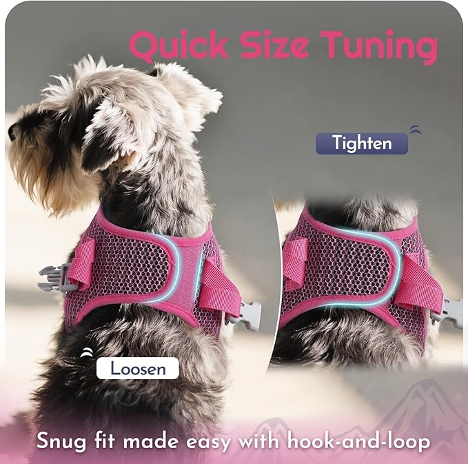 Eagloo Small Dog Harness and Leash Set, Step in Puppy Vest with Breathable Soft Mesh, Walking Reflective Pet Harness for Small Dogs, Rose Red, XS
