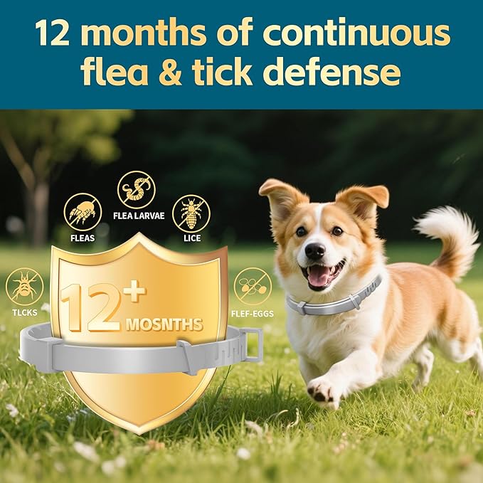 Flea and Tick Collar for Dogs – 12-Month Protection – Adjustable & Waterproof – Safe, Long-Lasting Repellent for Fleas, Ticks, Lice & Mosquitoes – Fits Small, Medium & Large Dogs 4pack