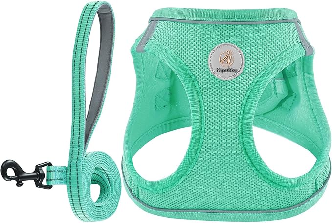 Hipubby Dog Harness and Leash Set, No Pull Soft Mesh Puppy Harness for Small Medium Dogs, Cats - Step in Reflective Breathable Lightweight Vest Harness for Walking, Training - Green, XXS