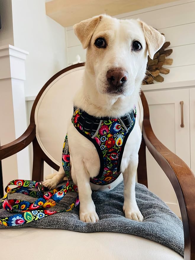 Lucky Love Dog No Pull Dog Harness, Adjustable and Easy to Walk, Cute Patterned Harness for Small Male & Female Dogs - Blackbird, XS