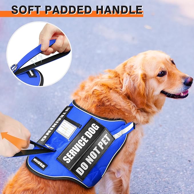 Service Dog Harness and Leash Set, Training Dog Vest with 10 Dog Patches, Emotional Support Therapy Dog Vest Harness for Small Medium Large and Extra Large Dogs(Blue, XL)