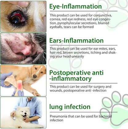 Dog Antibiotics for Skin Infection, Antibiotic for Dogs, Natural Antibiotics for Dogs Multivitamin Support Immune and Dog Allergy Itch Relief, Pet Antibiotics Supplement, 2 Fl Oz