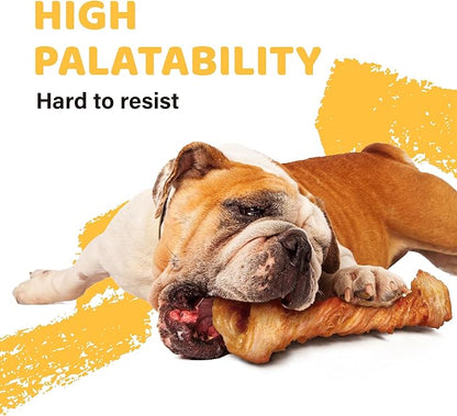 iPaw Turkey Tendon for Dogs, Single Protein, Hypoallergenic, All Natural Human Grade Puppy Chew, Rawhide Alternative Dog Treats, 1 Pc/Pack Bone (Large)