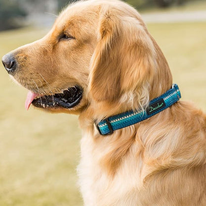 Martingale Dog Collar No Pull Pet Collar Heavy Duty Dog Martingale Collars Silky with Unique Geometric Pattern for Medium and Large Dogs (Large, Turquoise)