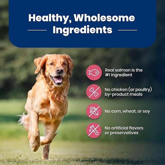 Blue Buffalo Life Protection Formula Adult Dry Dog Food, Helps Build and Maintain Strong Muscles, Made with Natural Ingredients, Salmon & Brown Rice Recipe, 34-lb. Bag