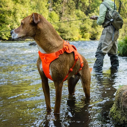 Ruffwear, Web Master, Multi-Use Support Dog Harness, Hiking and Trail Running, Service and Working, Everyday Wear, Red Canyon, Small