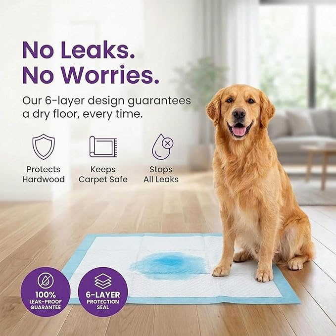 BV Puppy Pads XL 40 Count 34"x28" - Leak-Proof Pee Pads for Dogs with 6-Layer Design, Rapid Dry Sheet & Attractant - Dog Pad Extra Large with Odor Control - Perfect for Big Dogs & Indoor Use