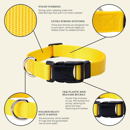 Country Brook Petz - Everyday Nylon Dog Collar for Large, Medium, and Small Dogs and Puppies - for Everyday Use in 15+ Cool Colors (2XS, 3/8 Inch Wide, Yellow)