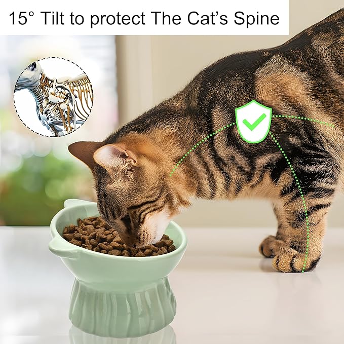 Elevated Cat Food Bowl,8 Oz Ceramic Raised and Tilted Water Bowl,Anti Vomiting and Protect Pets Spines Dishes for Fat Faced Cat, Indoor Cats,Kitten,Small Dog (White)