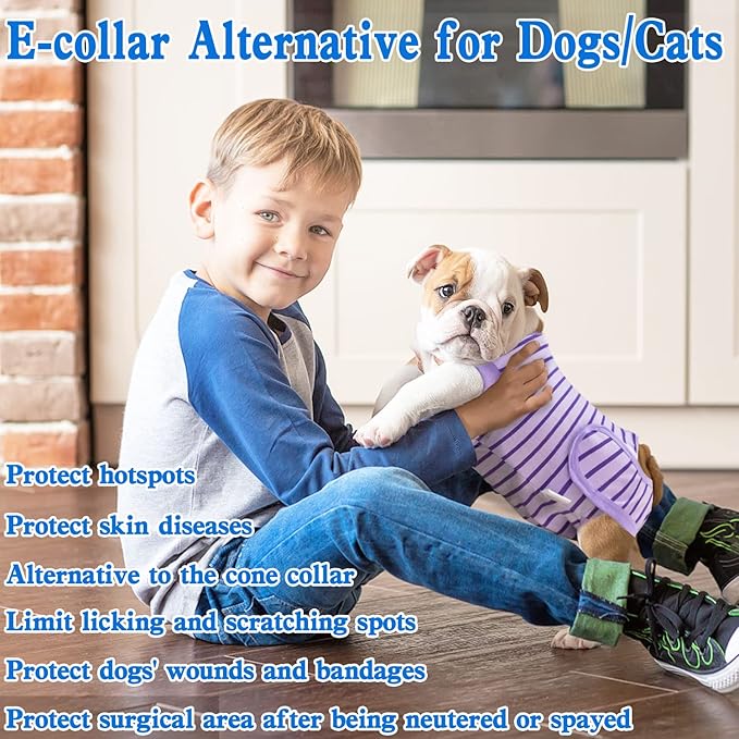 Dog Recovery Suit, Surgical Recovery Suit for Male Female Dogs Cats Spayed Onesie After Surgery, Dog Post Surgery Suit Anti Licking & Biting Surgical Shirt with Pee Hole，Purple XX-Large