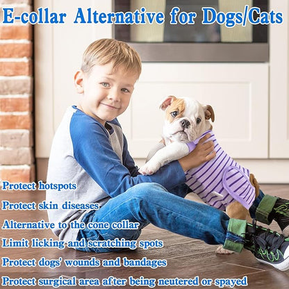 Dog Recovery Suit, Surgical Recovery Suit for Male Female Dogs Cats Spayed Onesie After Surgery, Dog Post Surgery Suit Anti Licking & Biting Surgical Shirt with Pee Hole，Purple XX-Large
