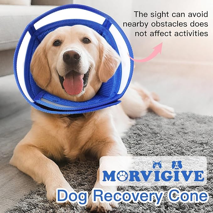 Dog Cone for Medium Dogs to Stop Licking | Adjustable Elizabethan Collar for After Surgery for Neutering, Lightweight Breathable Recovery E-Collar to Prevent Biting Wounds (Blue, L)