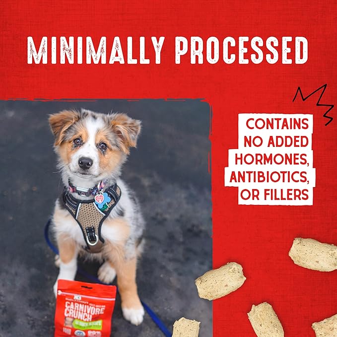 Stella & Chewy's Freeze-Dried Raw Dog Treats - Carnivore Crunch for Training - Natural Limited Ingredient, Grain-Free - Perfect for Picky Eaters - Grass-Fed Beef Recipe - 3.25 oz Bag
