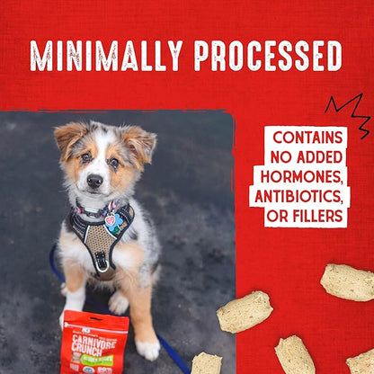 Stella & Chewy's Freeze-Dried Raw Dog Treats - Carnivore Crunch for Training - Natural Limited Ingredient, Grain-Free - Perfect for Picky Eaters - Grass-Fed Beef Recipe - 3.25 oz Bag
