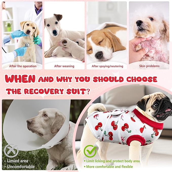 Dog Surgery Recovery Suit, Abdominal Surgical Suit for Male Female Dog Post Spay Neuter, Breathable Pet Onesie E-Collar & Cone Alternative, Surgery Shirt to Prevent Licking, Small
