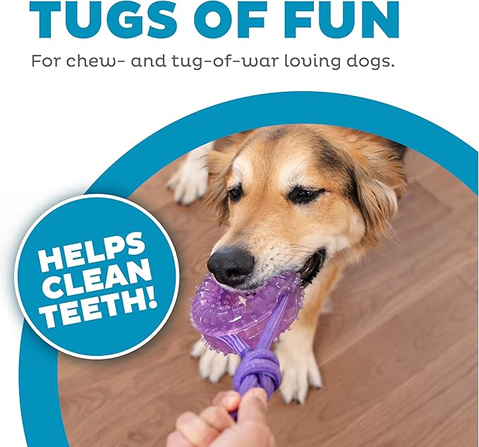 2-in-1 Dental Dog Chew Wheel Ring & Rope Tug Toy for Teething Puppies & Dogs, Mint-Scented & Teeth-Cleaning, 9-Inch, Purple