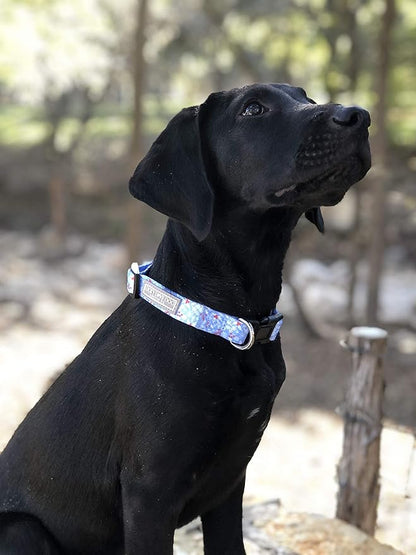 Lucky Love Dog Dog Collar, Leash Set Small, Premium, Cute and Adjustable Collars for Male and Female Dogs, Winterblue Combo, Extra Small