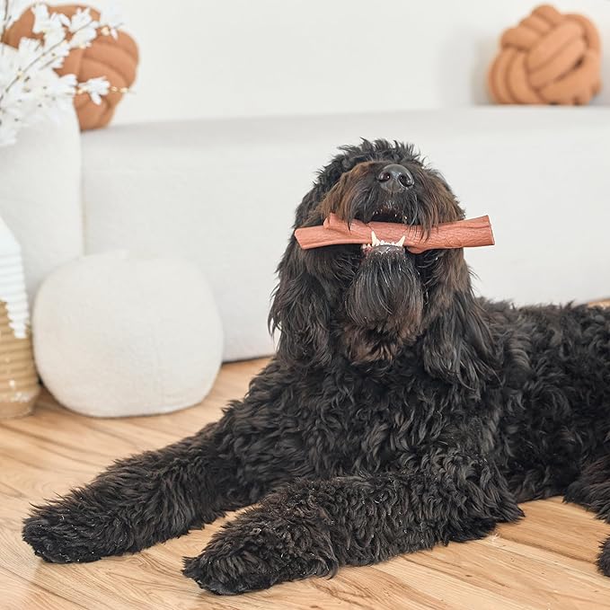 SPOT Bam-Bones Plus Branch -Bamboo Fiber & Nylon, Durable Long Lasting Dog Chew for Aggressive Chewers – Great Toy for Adult Dogs & Teething Puppies Under 90lbs, Non-Splintering, 9.5in, Beef Flavor