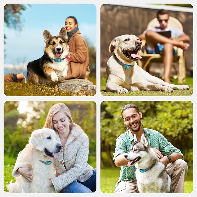 NBJU Bark Collar for Dogs,Rechargeable Anti Barking Training Collar with 7 Adjustable Sensitivity and Intensity Beep Vibration for Small Medium Large Dogs (Teal Blue)