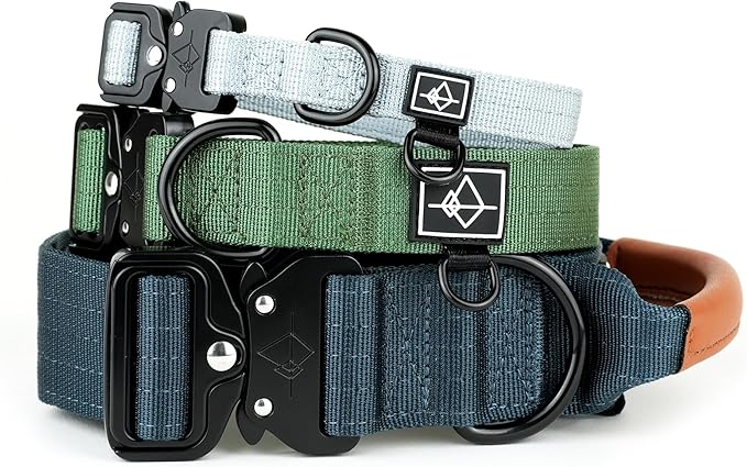 Made to ROAM Premium Explorer Control Collar - Adjustable Heavy Duty Nylon Dog Collar with Quick-Release Metal Buckle and Handle (New York Afterlight, Control Size 4)