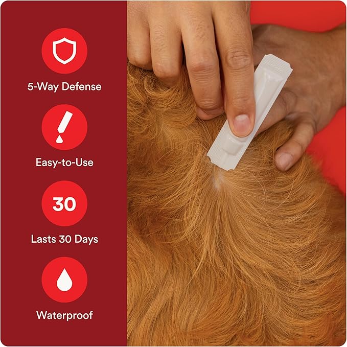 Advecta Ultra Flea and Tick Prevention for Dogs - Large Dog Flea and Tick Treatment & Control - Mosquito Repellent - Fast Acting Waterproof Topical Drops, 2 Month Supply