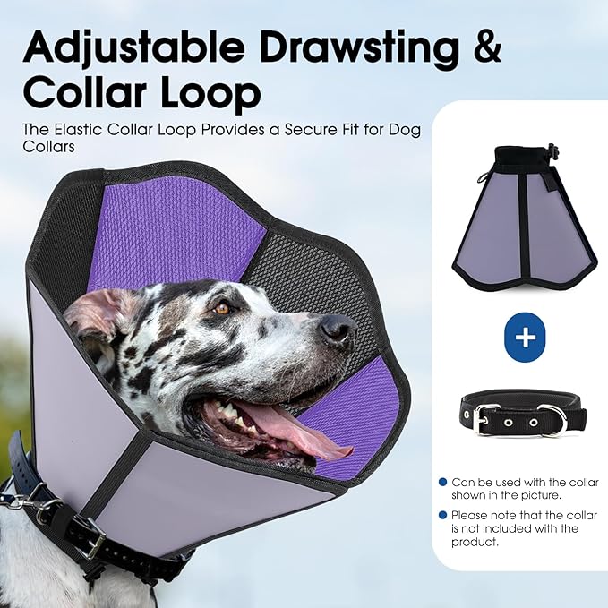 Dog Cone - Soft Cone for Dogs to Stop Licking, Adjustable Dog Recovery Collar with Double-Layer Design, Pet Cones Alternative After Surgery for Wound Care, Spay, Black Medium