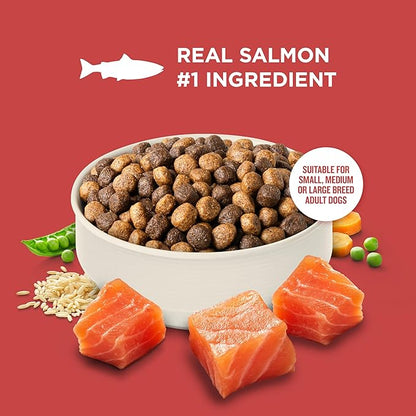 Nutrish Salmon Dry Dog Food, 26 Pound Bag