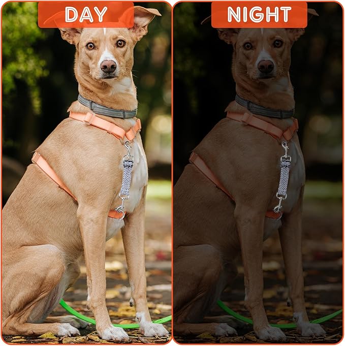 2 PCS Prong Collar Safety Clip Leash to Prong Collar Connector Dog Leash Connector Harness to Collars Safety Clip Reflective Double Ended Backup Clasp for Dog Pinch Collars