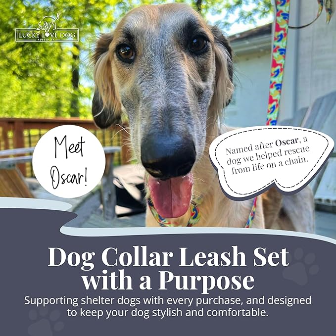 Lucky Love Dog Martingale Dog Collar & Leash - Adjustable, No-Slip, Durable, Comfortable, Soft Webbing, & Stylish Patterned Collar & Leash Set for Male and Female Dogs - Oscar Combo, Medium