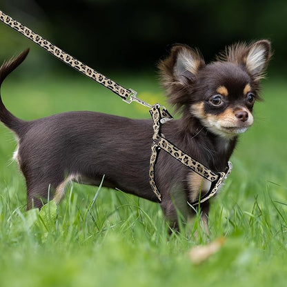 Mile High Life Leopard Dog Harness Collar Leash Set, Adjustable No Pull Dog Halter Harness for Small Breed Dogs, Easy Control for Training Walking (Black, S Chest 11"-18", Neck 10"-14")