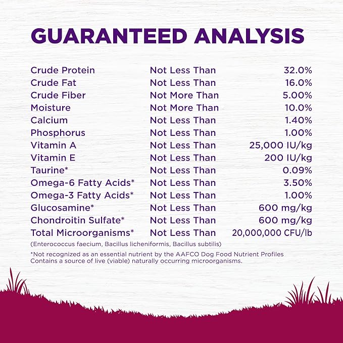 Wellness Complete Health Small Breed Adult Dry Dog Food, Grain Free Kibble, Chicken and Salmon Recipe, 4 lb Bag