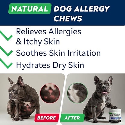 StrellaLab Dog Allergy Relief & Anti Itch Support Chews w/Omega 3: Real Ingredients, Real Taste! Skin & Coat Immune Supplement w/Fish Oil, Pumpkin & Enzymes — Developed by Experts - Made in USA -180Ct