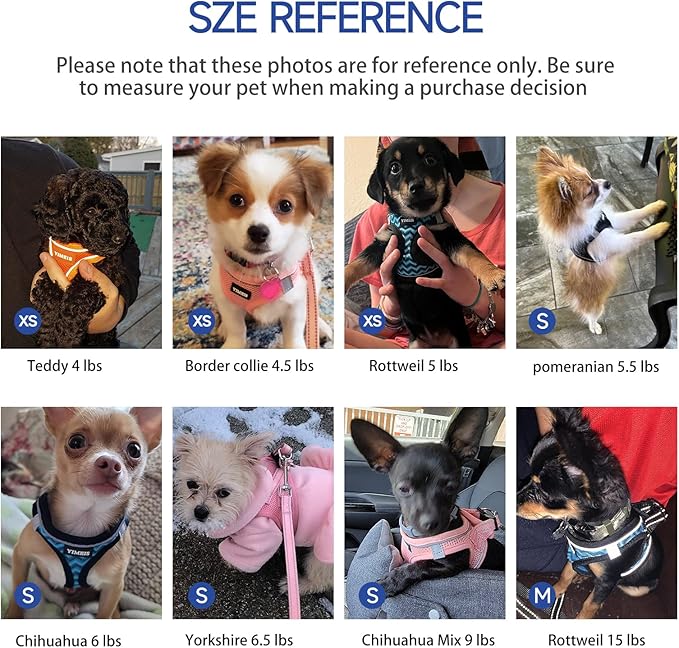 Dog Harness for Small Dogs and Leash Set, Honeycomb Grid, Reflective Lightweight Harness & Anti-Twist Pet Lead Multi Color, Size: XS-S-M. (M, Red & Blue)