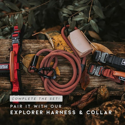 MADE TO ROAM Premium Explorer Leash - Climbing Rope Leash with Autolocking Aviation Aluminum Carabiner - Montana Moonrise, 6ft