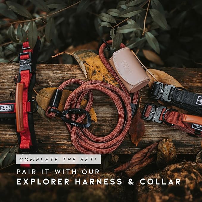 MADE TO ROAM Premium Explorer Leash - Climbing Rope Leash with Autolocking Aviation Aluminum Carabiner - Colorado Nightsky, 4ft