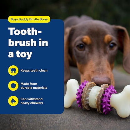 PetSafe Busy Buddy Bristle Bone - Durable Dog Chew Toy with Bristles & Rubber Nubs for Dental Health - Treat-Dispensing Toothbrush Toy for Hard Chewers - Dog Enrichment Supplies