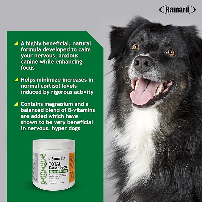 Ramard Total Calm & Focus Dog Treat Supplement - Natural Calming Chews with Magnesium & B-Vitamins - 45 Soft Chews for Canine Calmness During Training, Grooming, and Everyday Enjoyment