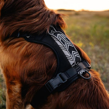 Wilderdog Lightweight Dog Harness with Reflective Straps - Small - Black