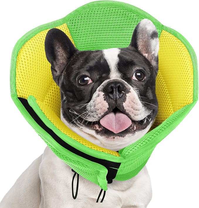 AOFITEE Dog Cone - Soft Cones Dog After Surgery, Comfy Cones for Dogs to Stop Licking, Adjustable Small Dogs Cone Collar for Wound Healing, Elizabethan Pet E-Collar, YellowGreen Small