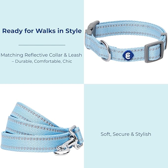Blueberry Pet Essentials Reflective Dog Collar & Leash Set, Adjustable for Large Dogs | Safe Walking Gear for Pet Parents, Puppy Training & Daily Use LargeDogs, Baby Blue