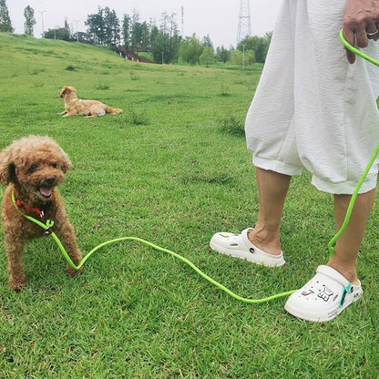 WYUZE 2 Pack 8 ft Slip Lead Dog Leash, Reflective No Pull Dog Training Lead, 1/3" Nylon Rope Slip Leash for Small Medium Dogs (Purple+Green)