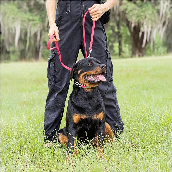 Herm Sprenger Chrome Plated Steel Dog Collar with Quick Release ClicLock Buckle O-Ring Biothane Insert Training Collar Made in Germany (Passionfruit Pink, 22in x 3.0mm(Neck Size up to 18-19in))