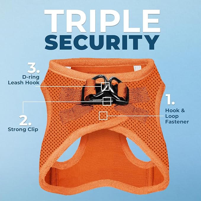 Best Pet Supplies Voyager Step-in Air All Weather Mesh Harness and Reflective Dog 5ft Leash Combo with Neoprene Handle, for Small, Medium and Large Breed Puppies - Set (Orange), X-Small