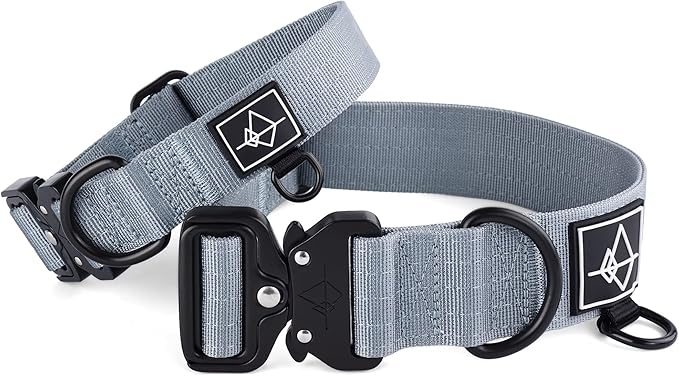 Made to ROAM Premium Dog Collar - Adjustable Heavy Duty Nylon Collar with Quick-Release Metal Buckle (Virginia Mountains, Classic Size 2)