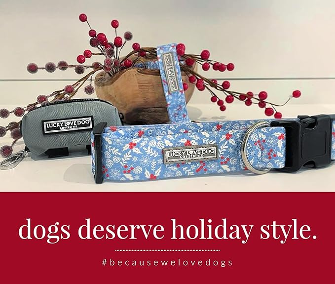Lucky Love Dog Martingale Dog Collar - Adjustable, No-Slip, Durable, & Soft Webbing Collar for Male and Female Dogs Ideal for Training & Walking - Winterblue, Small