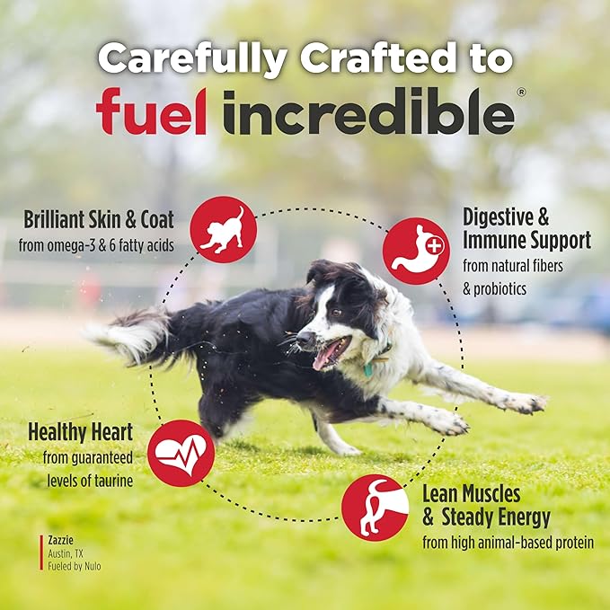 Nulo Freestyle Adult Dog Food, Premium All Natural Grain-Free Dry Small Kibble Dog Food, with BC30 Probiotic for Healthy Digestion, and High Animal-Based Protein with no Chicken or Egg Alternatives