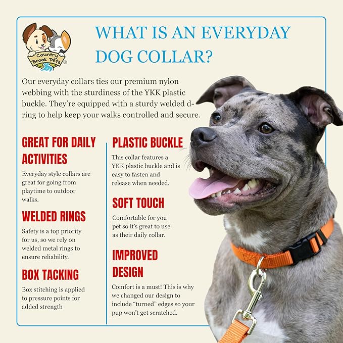 Country Brook Petz - Everyday Nylon Dog Collar for Large, Medium, and Small Dogs and Puppies - for Everyday Use in 10+ Warm Colors (Large, 1 Inch Wide, Orange)
