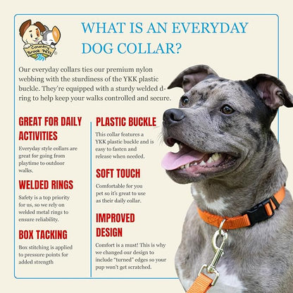 Country Brook Petz - Everyday Nylon Dog Collar for Large, Medium, and Small Dogs and Puppies - for Everyday Use in 10+ Warm Colors (Large, 1 Inch Wide, Orange)