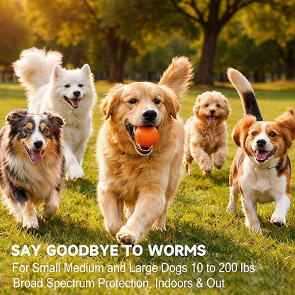 Dewormer for Dogs Pyrantel Pamoate and Praziquantel for Tapeworms, Roundworms and Hookworms Broad Spectrum Dewormer